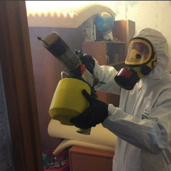 Уничтожение клопов в квартире. Бутырская